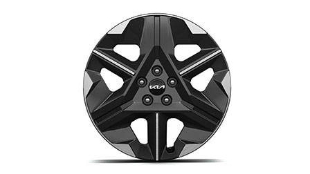 19-Zoll-Leichtmetallfelge